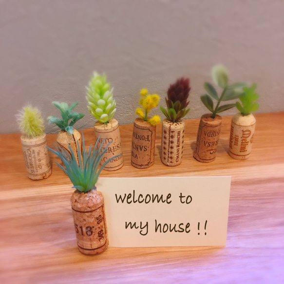 コルク×植物 メモスタンド(5個セット) 2枚目の画像