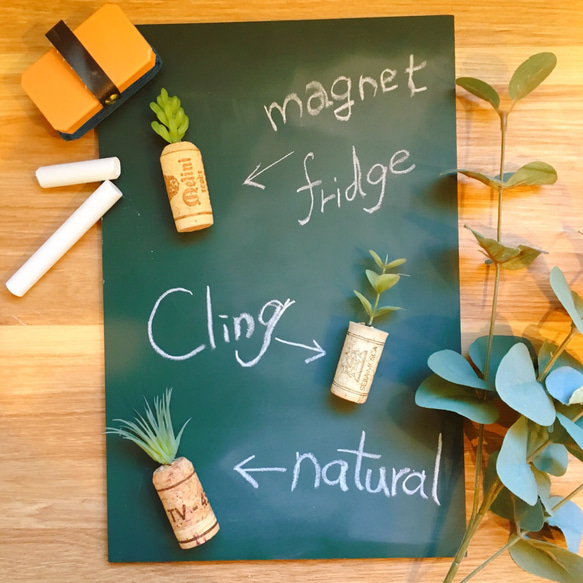 コルク×植物 メモスタンド(5個セット) 3枚目の画像