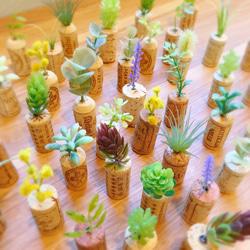 コルク×植物 メモスタンド(5個セット) 5枚目の画像
