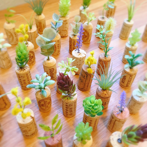 コルク×植物 メモスタンド(5個セット) 5枚目の画像