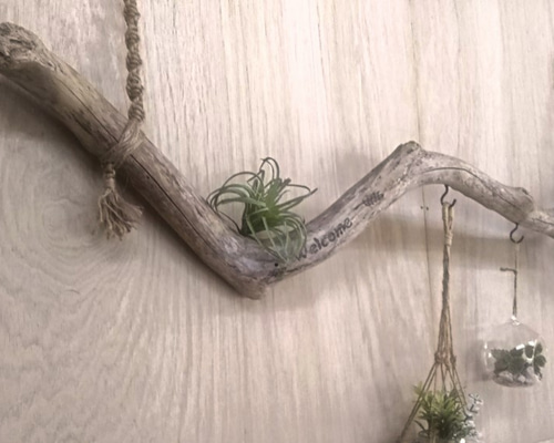 流木インテリアハンガーno.39 流木インテリアハンガーno.39 流木インテリアハンガーno.39