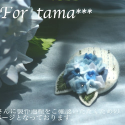 For tama  seasons『夏の前に咲く青い花』紫陽花と雨　フェルト版 1枚目の画像