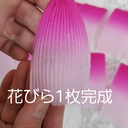 蓮紙 大幅値下げセール‼️》定番人気のAセット☆ その他素材 蓮の花紙