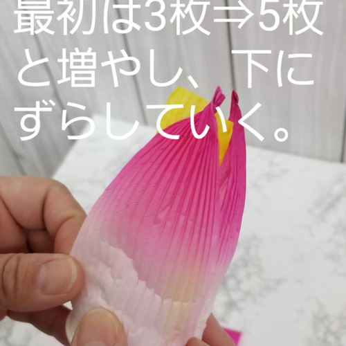 蓮紙 大幅値下げセール‼️》定番人気のAセット☆ その他素材 蓮の花紙