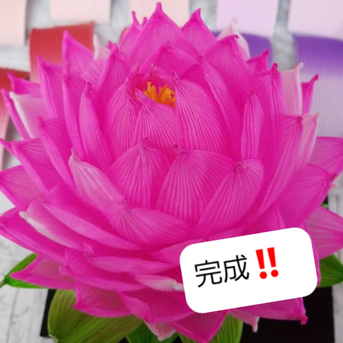 即購入ok!ハスの花紙(ハス ワーク紙、蓮ランタン、ハスワー、蓮