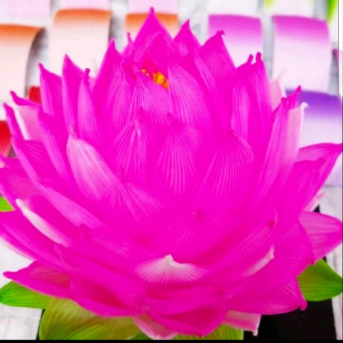 縁花シリーズ》☆ウキウキセット☆ キット 蓮の花紙専門店 はす