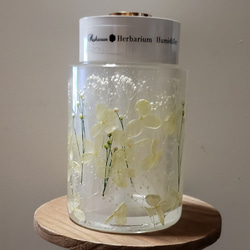 (母の日ギフト)★人気★ハーバリウム加湿器(ギフトやプレゼントに最適)グリーンのみすぐ発送できます。 2枚目の画像