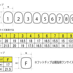 シャーロット【手描きレース柄ネイル】 3枚目の画像