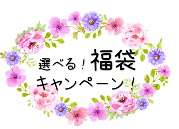 選べる！福袋キャンペーン！適用方法ご案内(*^-^*) 1枚目の画像