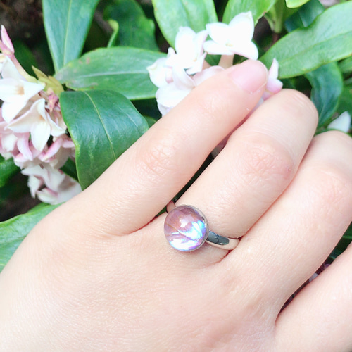 宝石になったモルフォ蝶のリング／本物の蝶の羽根封入【outlet