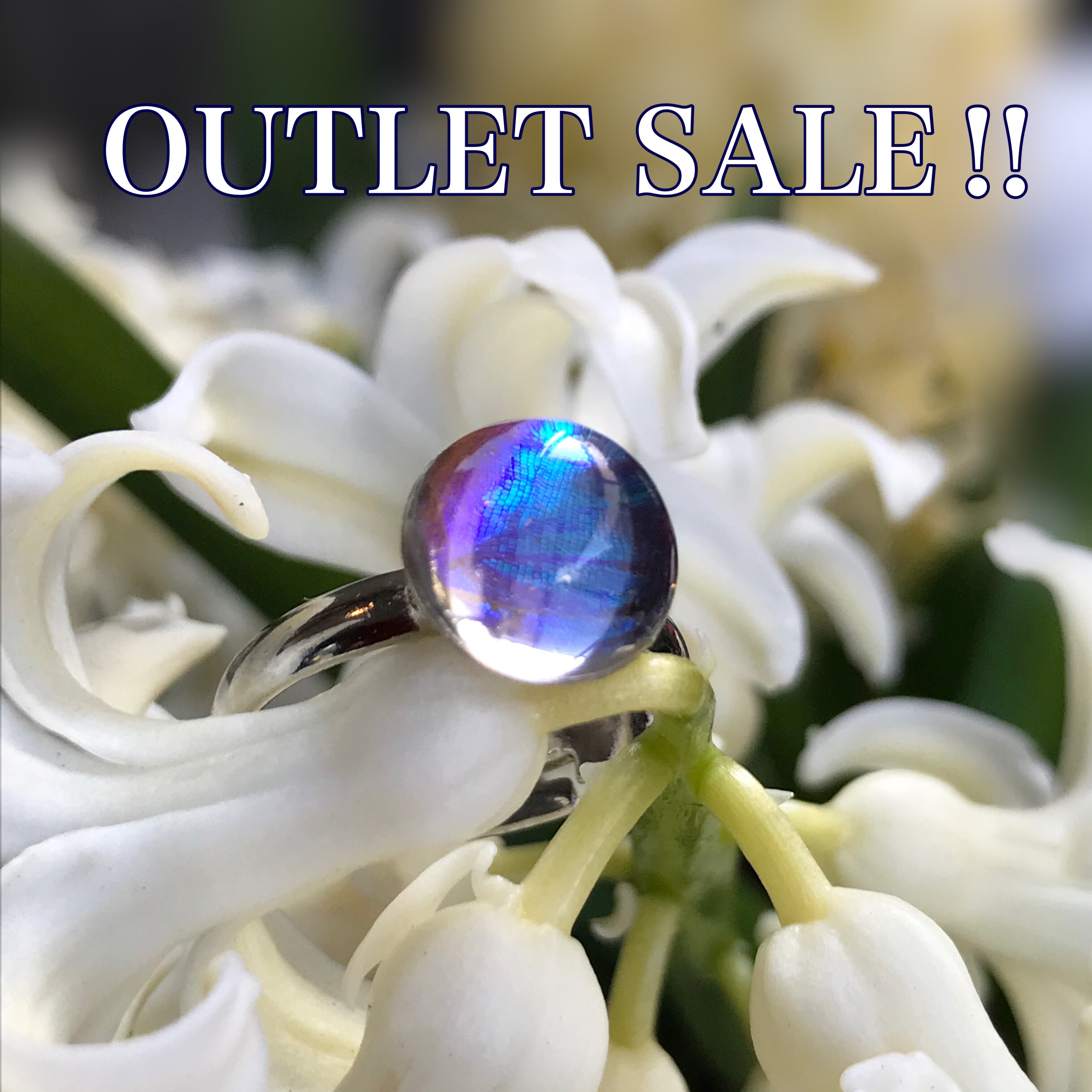 宝石になったモルフォ蝶のリング／本物の蝶の羽根封入【outlet