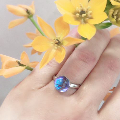 宝石になったモルフォ蝶のリング／本物の蝶の羽根封入【outlet