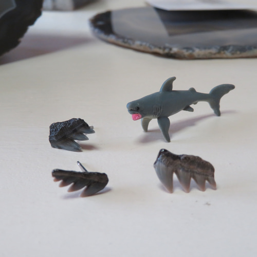 化石標本◇カグラザメの歯【Ⅰ】／pierce（片耳）316L ピアス