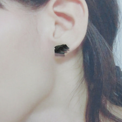 化石標本◇カグラザメの歯【Ⅱ】／pierce（片耳）316L 8枚目の画像