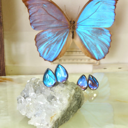モルフォ蝶のティアドロップピアス／本物の蝶の羽根 1枚目の画像
