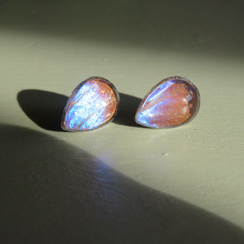 モルフォ蝶のティアドロップピアス／本物の蝶の羽根 ピアス（スタッド