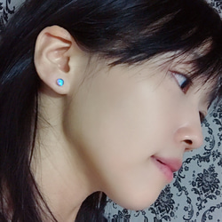 モルフォ蝶のプチイヤリング／本物の蝶の羽根 10枚目の画像