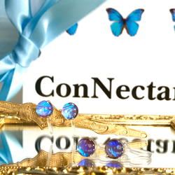 モルフォ蝶のプチイヤリング／本物の蝶の羽根 3枚目の画像