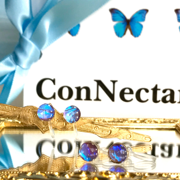 モルフォ蝶のプチイヤリング／本物の蝶の羽根 3枚目の画像