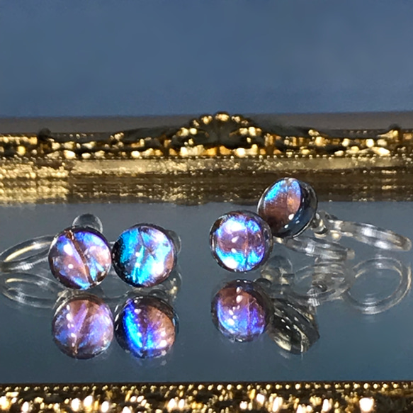 モルフォ蝶のプチイヤリング／本物の蝶の羽根 5枚目の画像