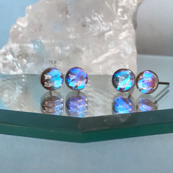 モルフォ蝶のプチイヤリング／本物の蝶の羽根 7枚目の画像