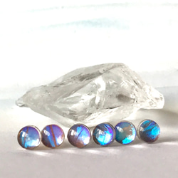 モルフォ蝶のプチイヤリング／本物の蝶の羽根 8枚目の画像