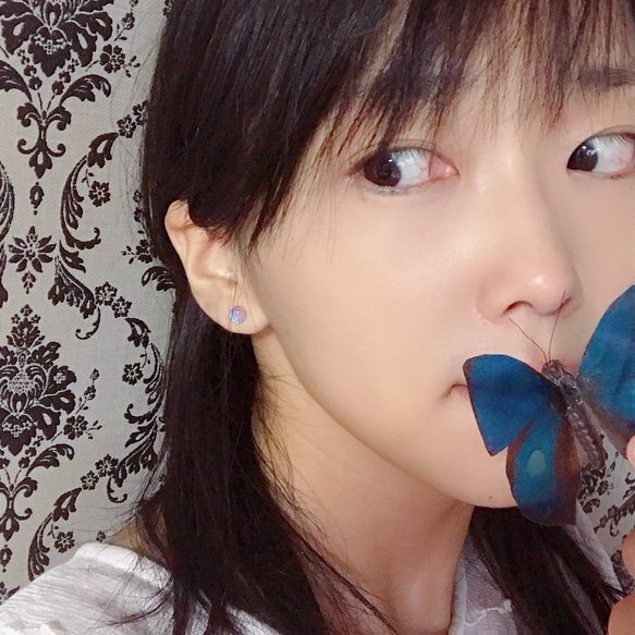 モルフォ蝶のプチイヤリング／本物の蝶の羽根 9枚目の画像