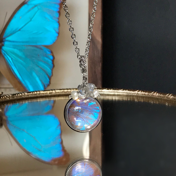 希少☆本物の蝶の羽 モルフォ蝶 幸運の青い蝶 シルバー925ペンダントトップ