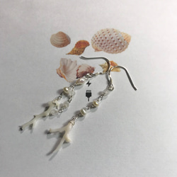 ー深海ー   白枝珊瑚と淡水真珠のアシンメトリーピアス   SV925 2枚目の画像