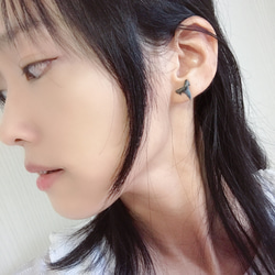 SALE!!化石標本◇サメの歯【Ⅱ】earring／316L 8枚目の画像