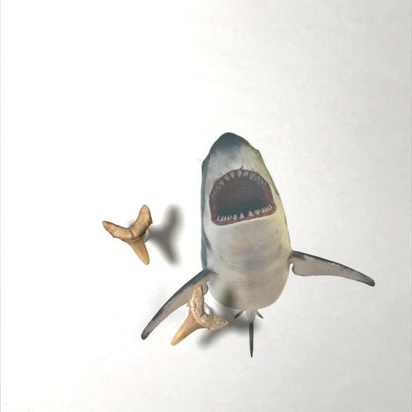 sold out！化石標本◇サメの歯【Ⅴ】pierce／316L 3枚目の画像