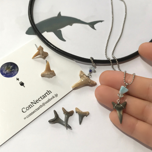 サメの歯の化石標本×海の石／necklace／316L ネックレス