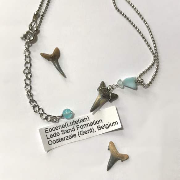 サメの歯の化石標本×海の石／necklace／316L ネックレス