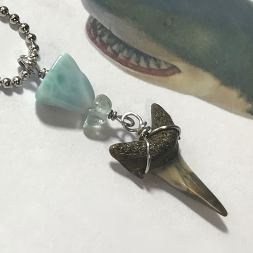 サメの歯　化石標本 化石標本◇サメの歯【Ⅲ】earring／316L イヤリング