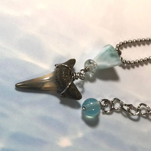 サメの歯の化石標本×海の石／necklace／316L ネックレス