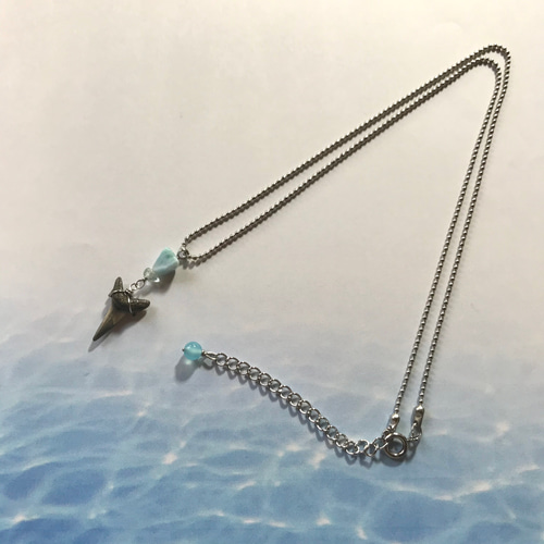サメの歯の化石標本×海の石／necklace／316L ネックレス・ペンダント