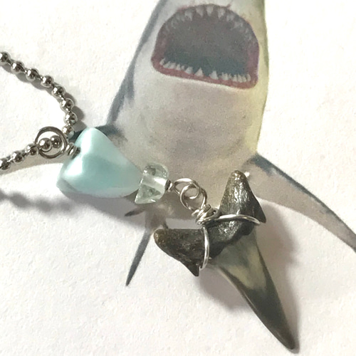 サメの歯の化石標本×海の石／necklace／316L ネックレス