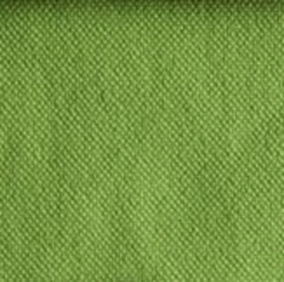 【50％OFF】A3帆布手提袋：黃綠色： 第9張的照片