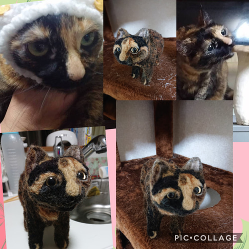 オーダー受付専用】 虹の橋の扉 ✨ 虹の橋✨ 犬 ✨ 猫