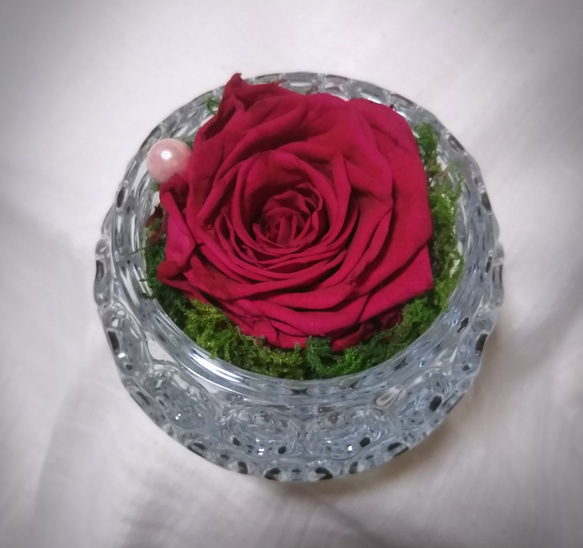 ブリザードフラワー～ガラスの中の一輪のバラ～ 2枚目の画像