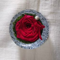 ブリザードフラワー～ガラスの中の一輪のバラ～ 3枚目の画像