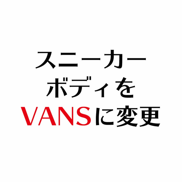 將身體改為VANS 第1張的照片