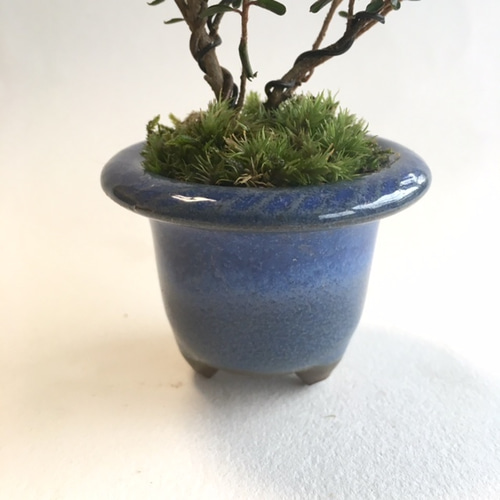 フェイクアート盆栽 然-ZEN- 寸-SUN-スモール 無地白鉢 本物を