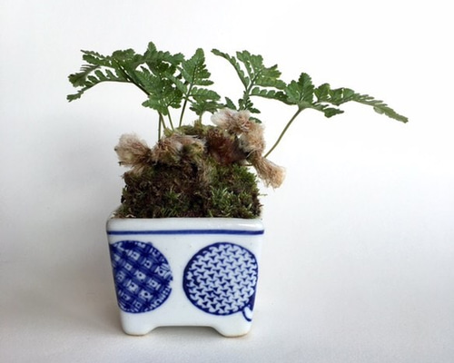 1_6032bc900cb5708b87939ab6cb2f