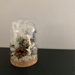 Glass Dome flower01 1枚目の画像