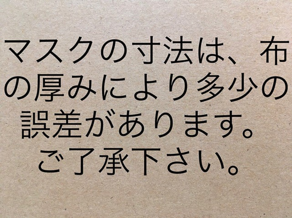 <しじら織り> 夏の布マスク／折り上げ型 7枚目の画像