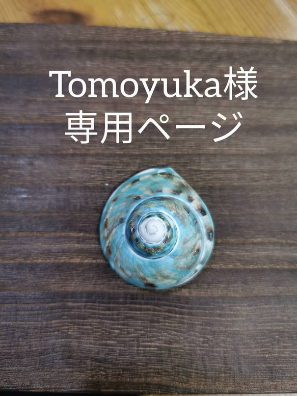 夜光貝磨きアクセサリー作りキット《本格モチーフパーツ 渦巻き