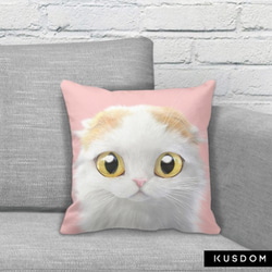 貓咪细毛绒抱枕(摺耳貓粉色底)提供客製化訂做 第2張的照片