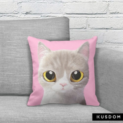 貓咪细毛绒抱枕(貓咪粉色底)提供客製化訂做 第2張的照片
