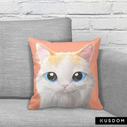 貓咪细毛绒抱枕(貓咪橘色底)提供客製化訂做 第2張的照片